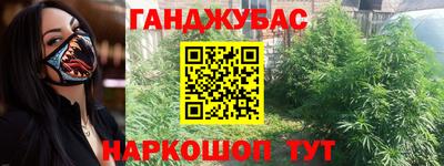 гидра Камышлов