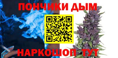 гидра Камышлов