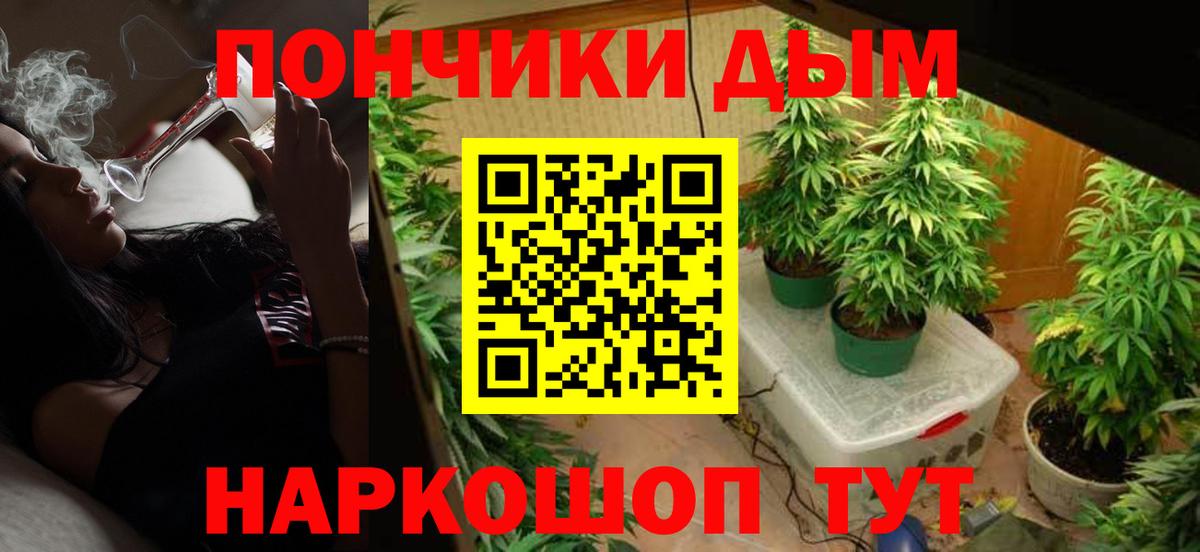 МАРИХУАНА сатива Краснокамск